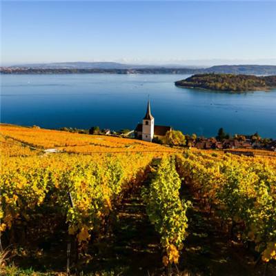 伊朗新任“安全总管”佐勒加德尔是谁