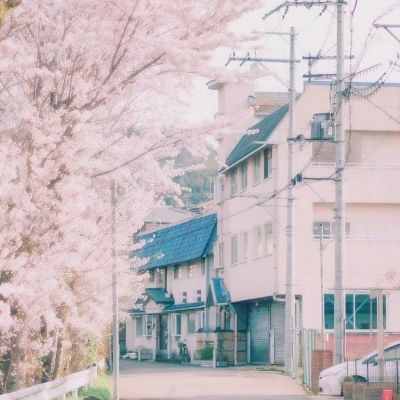 娃娃菜等5种蔬菜不是致癌蔬菜