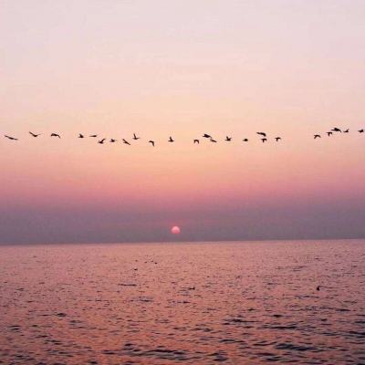 芭乐视频幸福宝小猪视频安装截图3