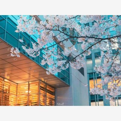 黄金网站APP大全