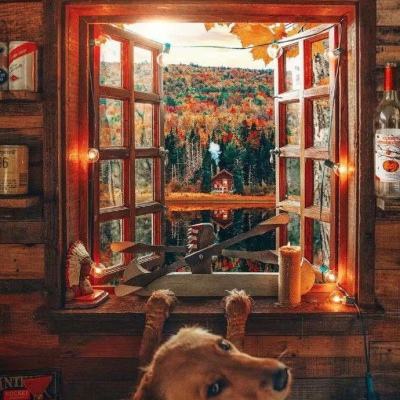 解决思想问题和解决实际问题相结合（人民论坛）