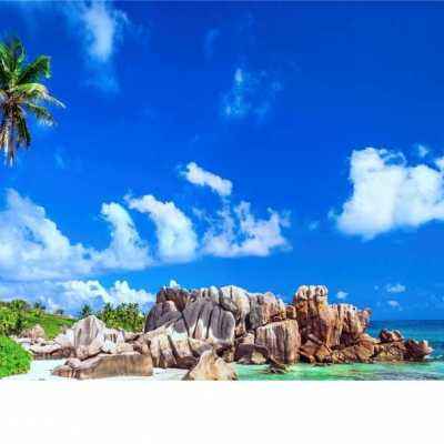 黄页网址大全免费观看22