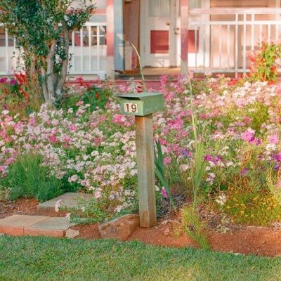 17.c14起草免费网站